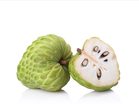 export custard apple