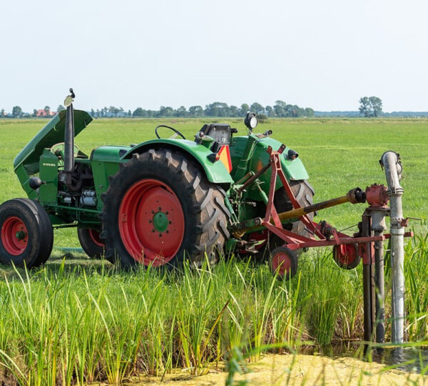 KINANGOP FARMS