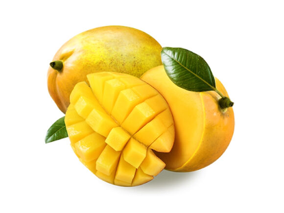 export ngowe mango